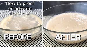 Active Yeast